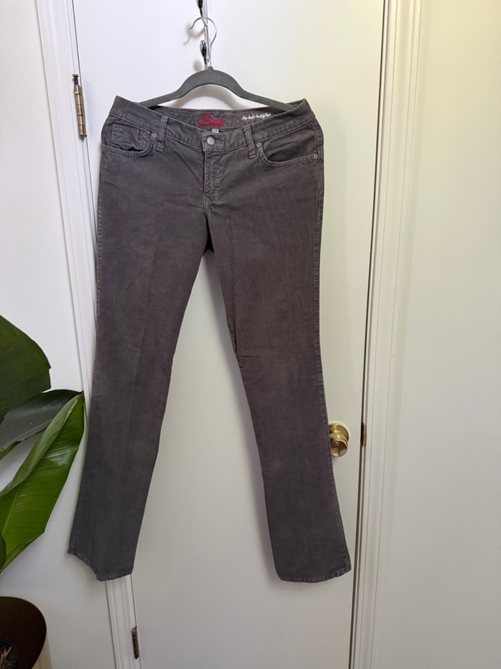 Corduroy Straight-Leg Pants in Charcoal Gray